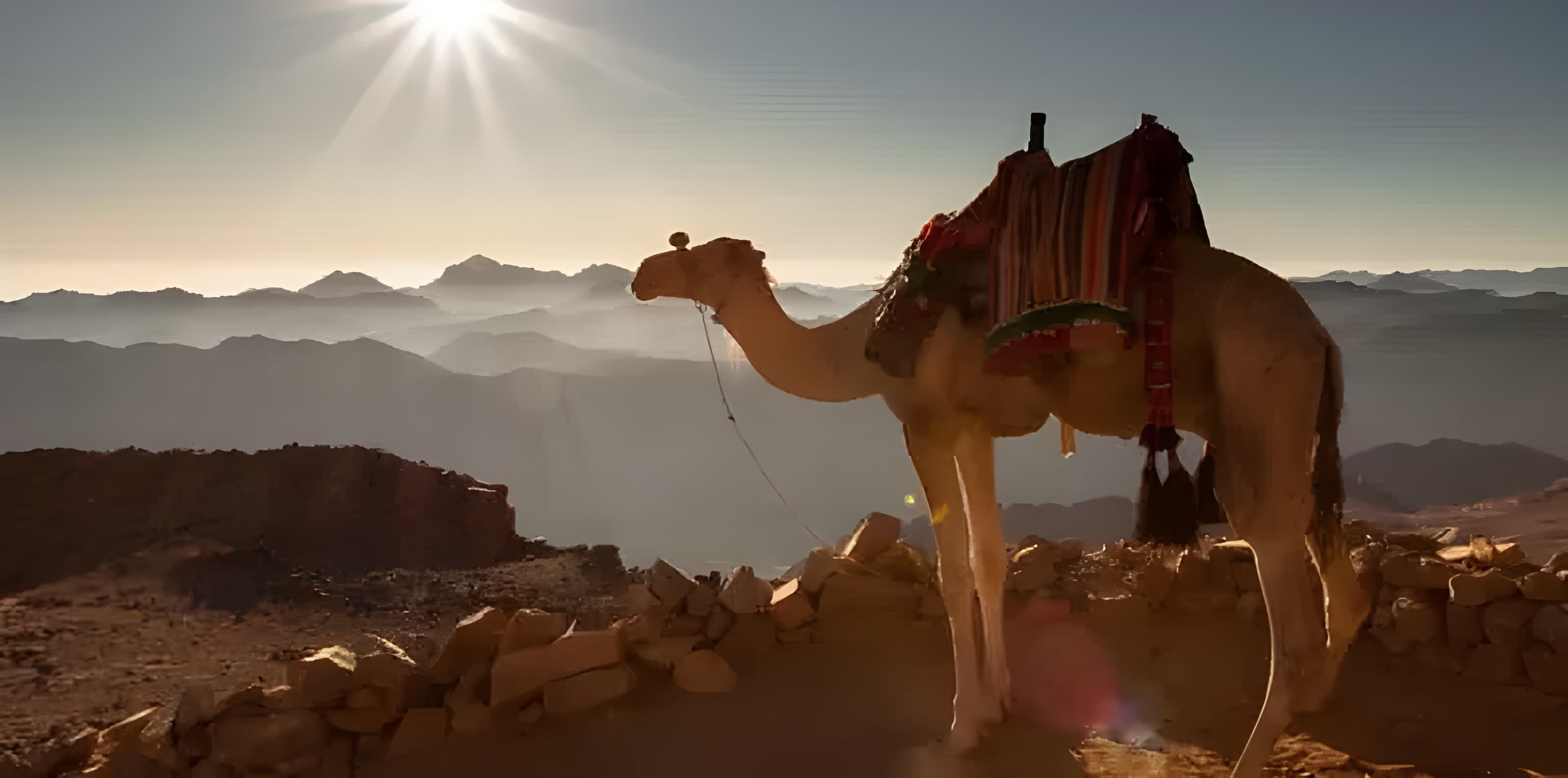 Hurghada - Desert & Relaxation