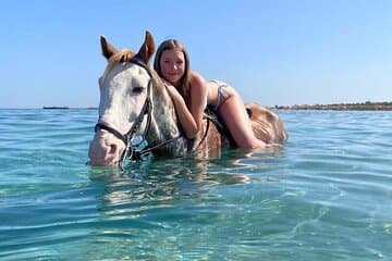 Horse Riding 3 Hours Beach, Desert, & Swimming By Horse in red sea - Hurghada