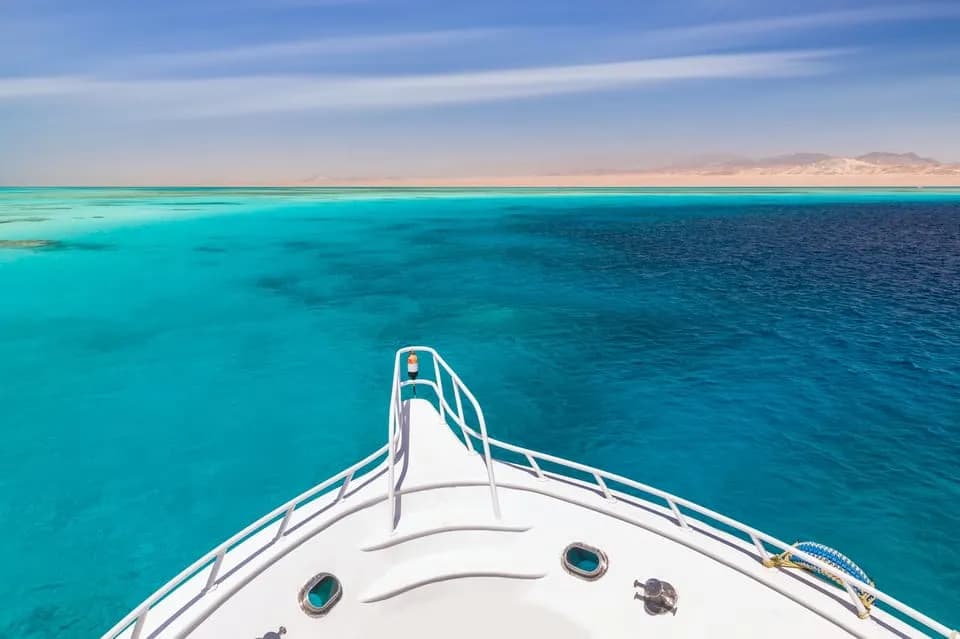 Dolphin Watching Trip