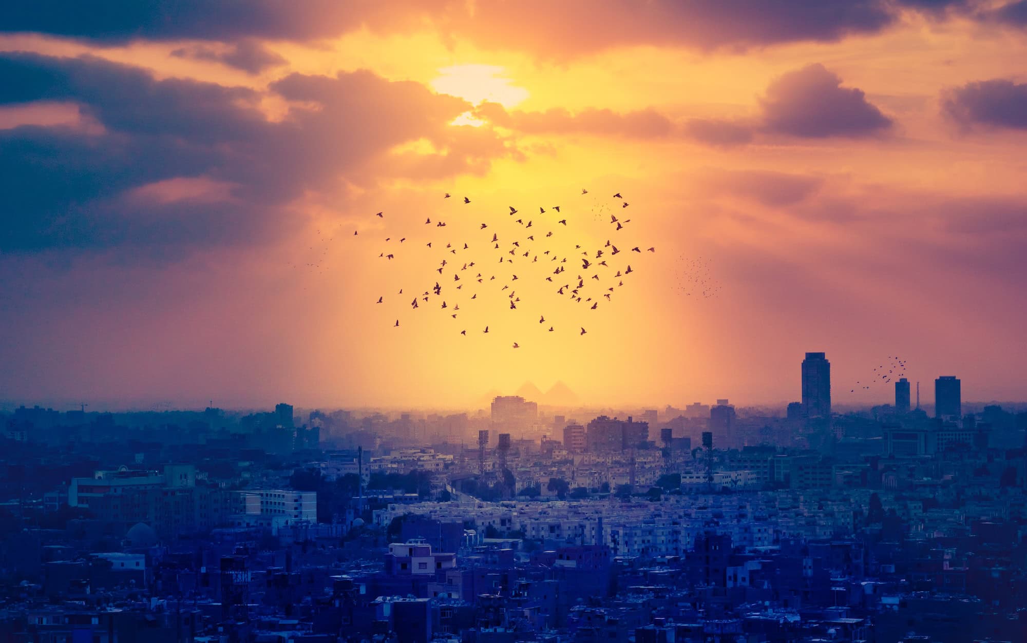 Welcome to Cairo