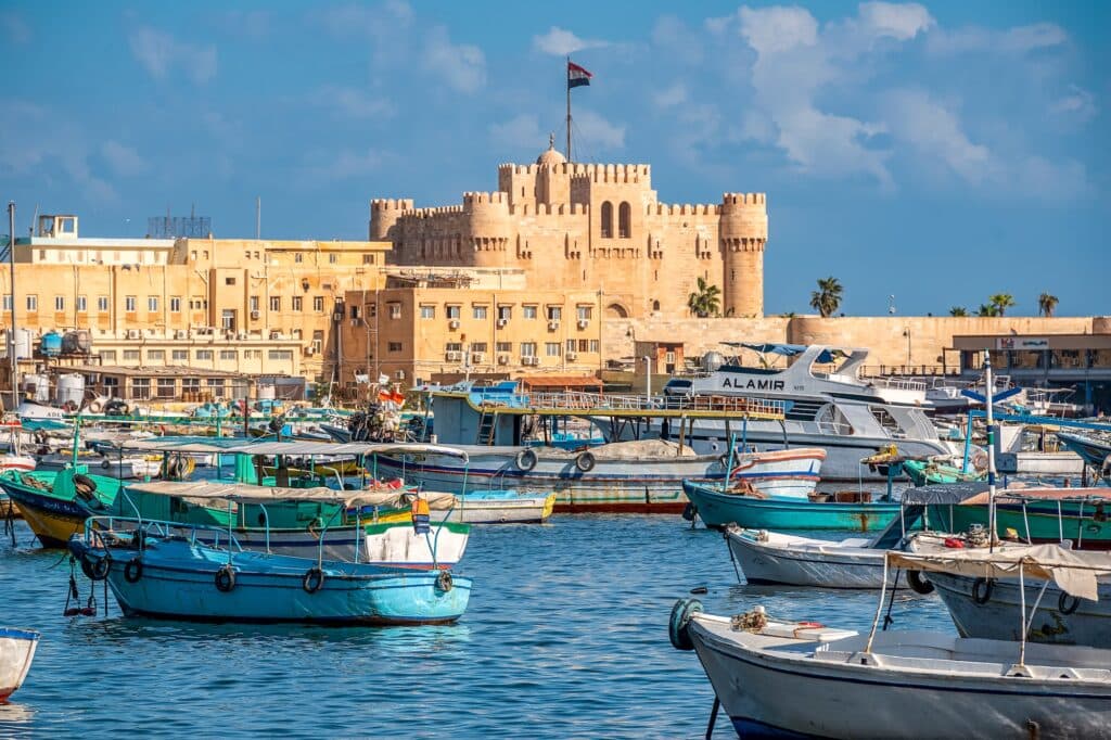 Free Day or Alexandria