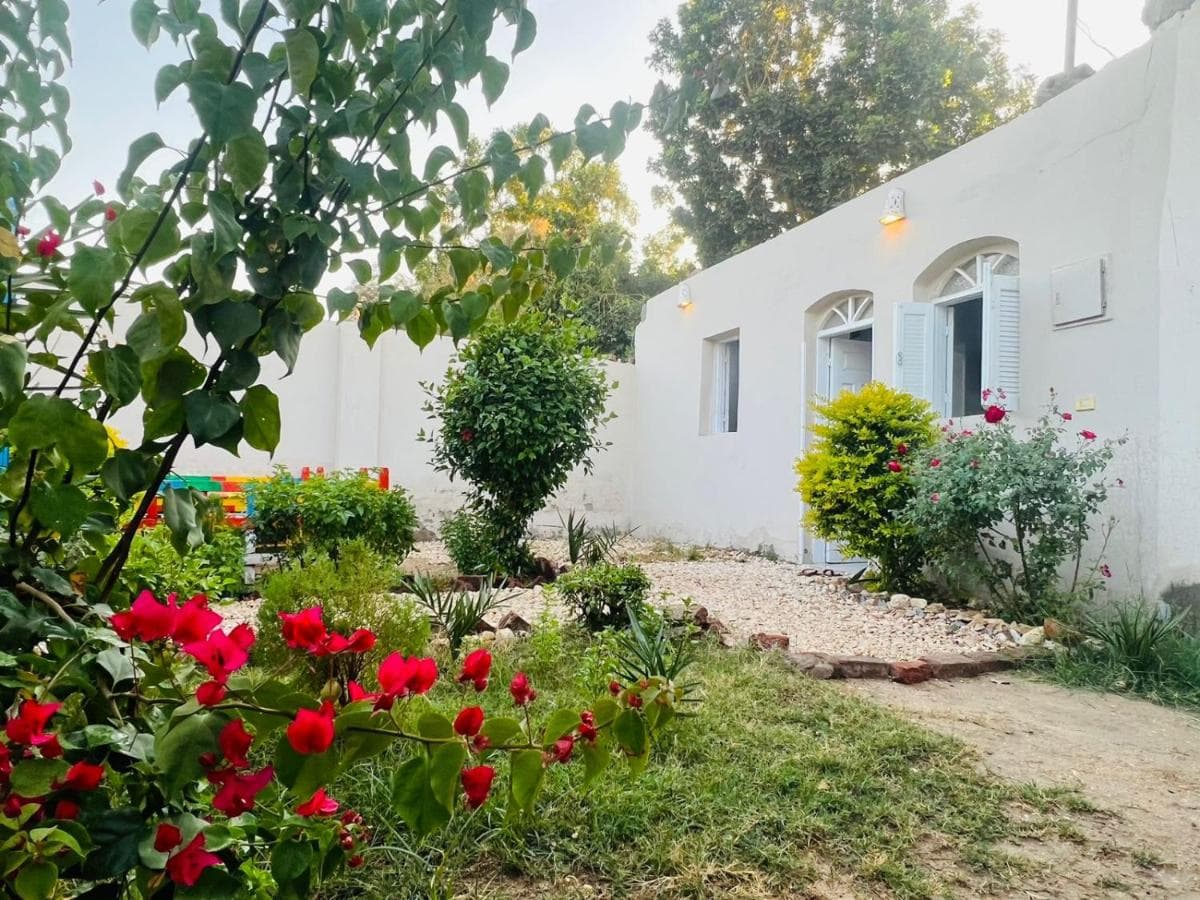 Nile Flower Guesthouse