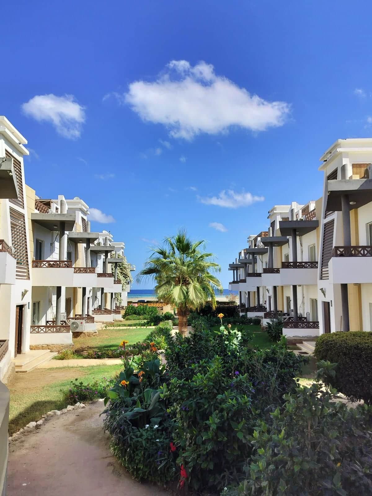 Cozy apartment facing the sea