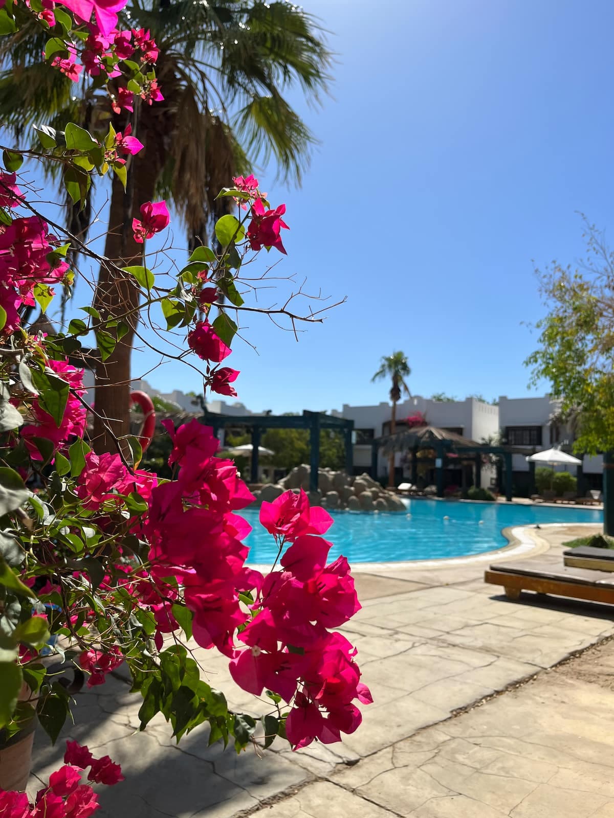 New two-room apartment with balcony in Delta Sharm